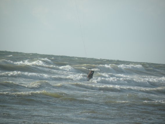  vagues et surfeur